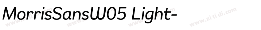 MorrisSansW05 Light字体转换